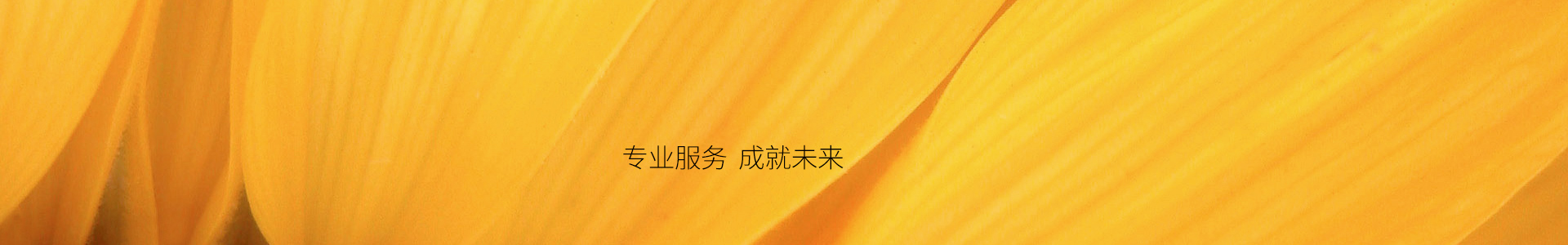 企业价值评估